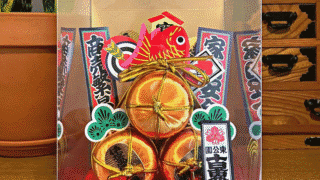 【Instagram】めで鯛!!