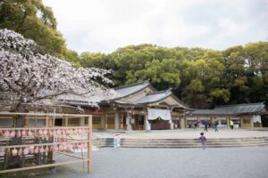 桜と神社の本殿