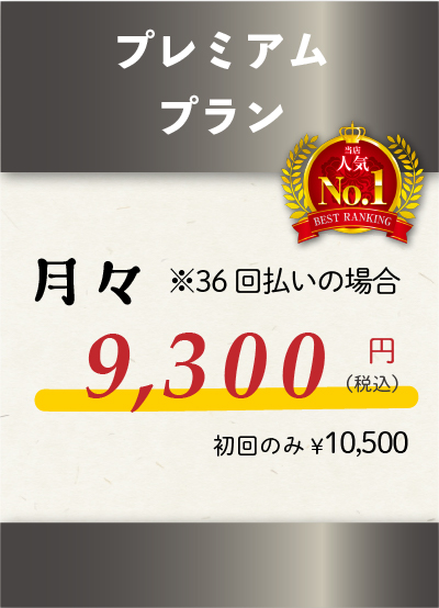 プレミアムプラン 36回払い 9300円