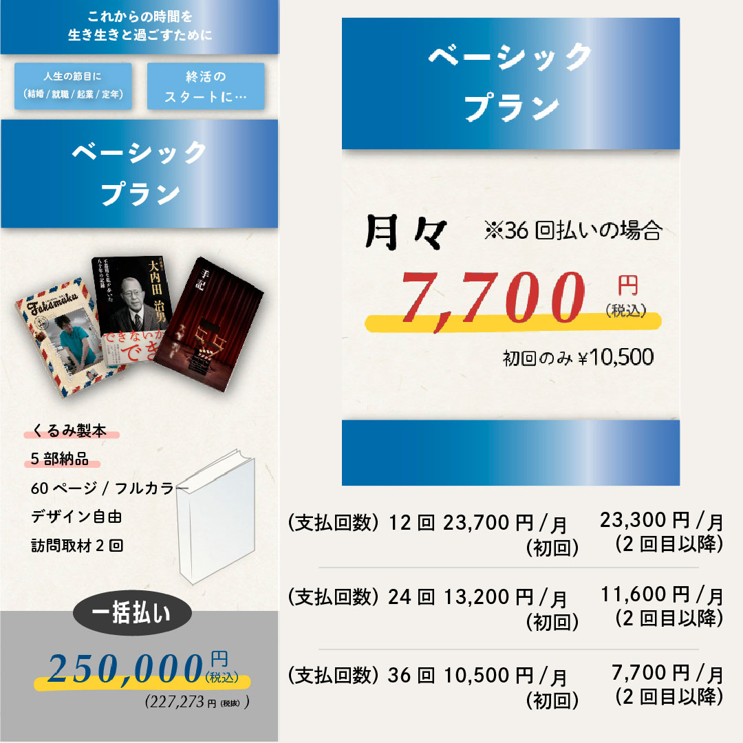 ベーシックプラン内容 25万円