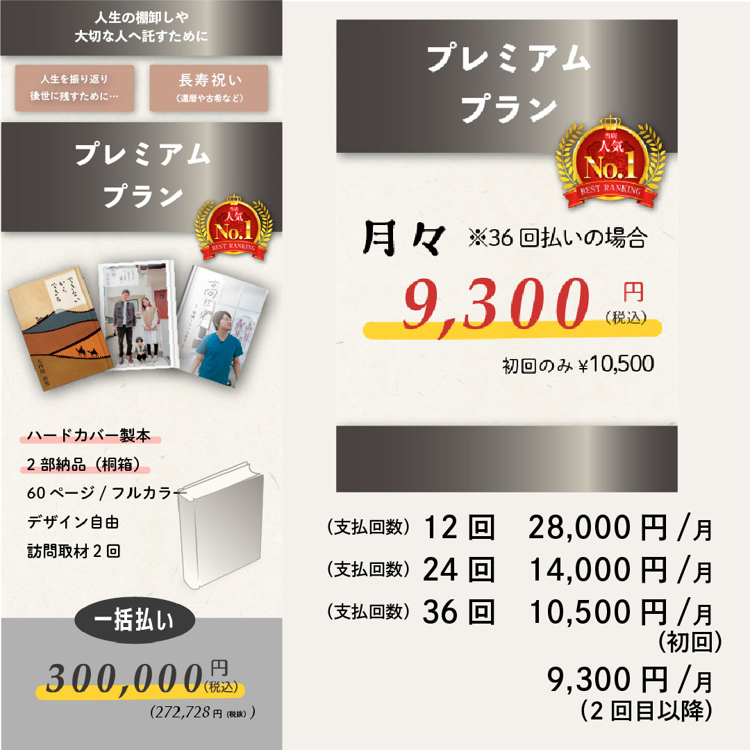 プレミアムプラン内容 30万円